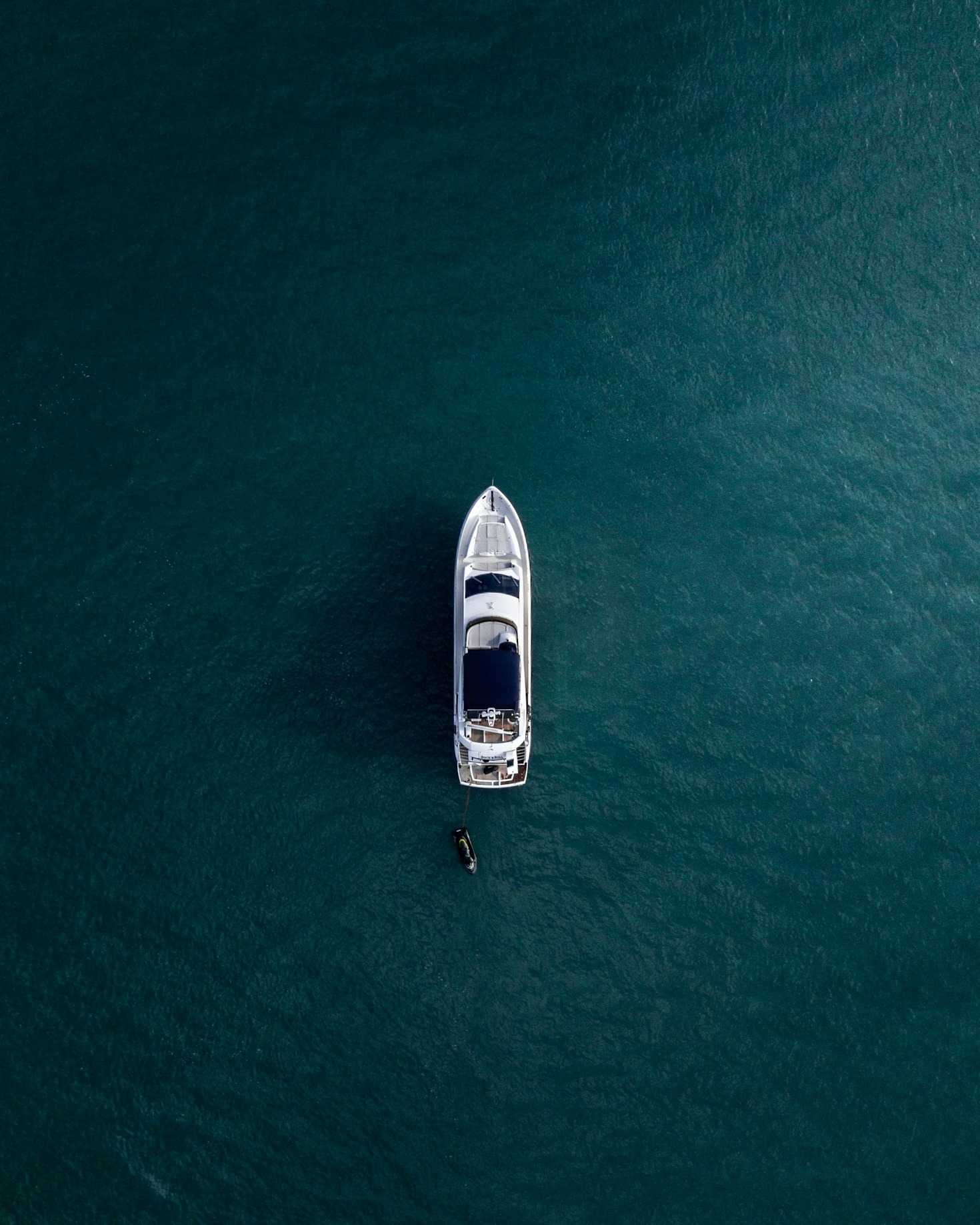 How Los Gatos Fosters a Love for Sailing